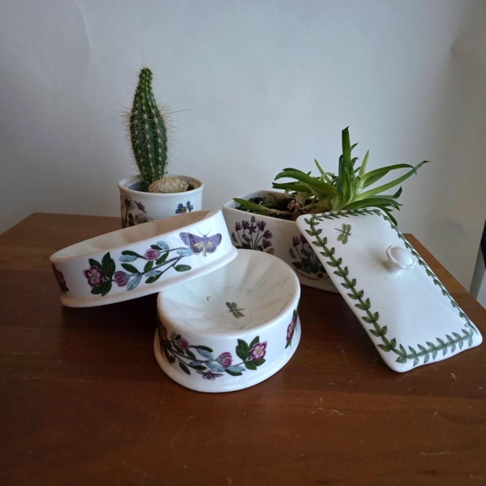 Set of Portmeiron Susan Williams Ellis Botanical Ceramics
